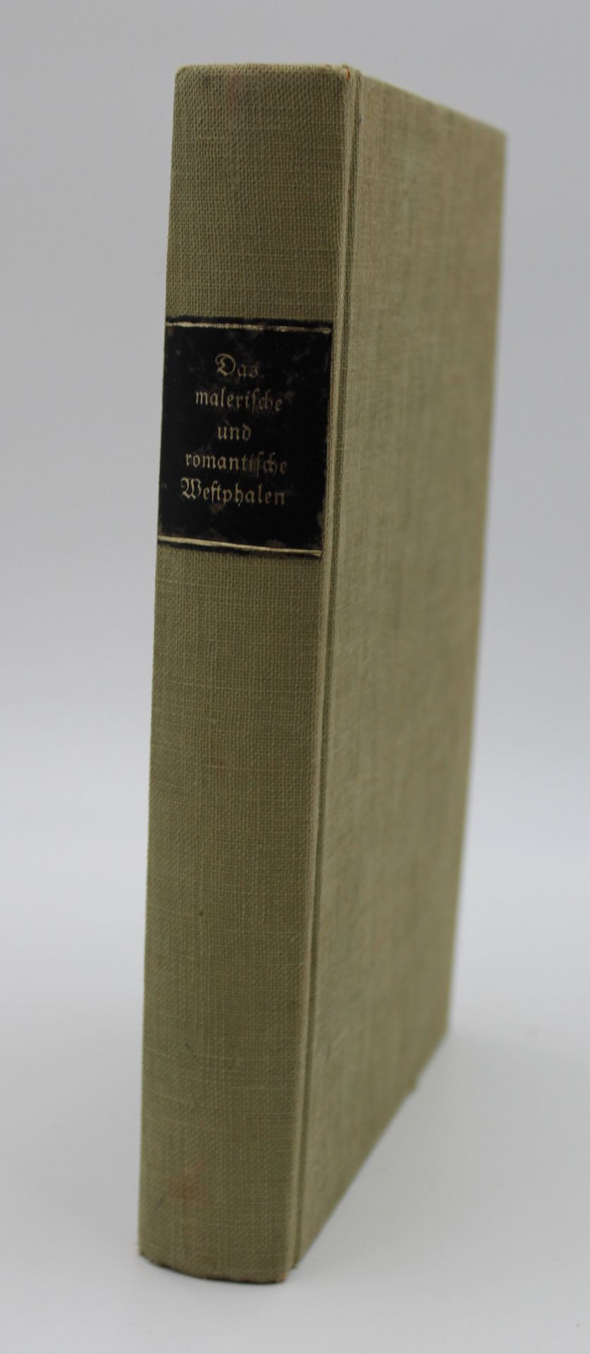 Schüking/Freiligrath, Das malerische und romantische Westphalen, 1872, stockfleckig
