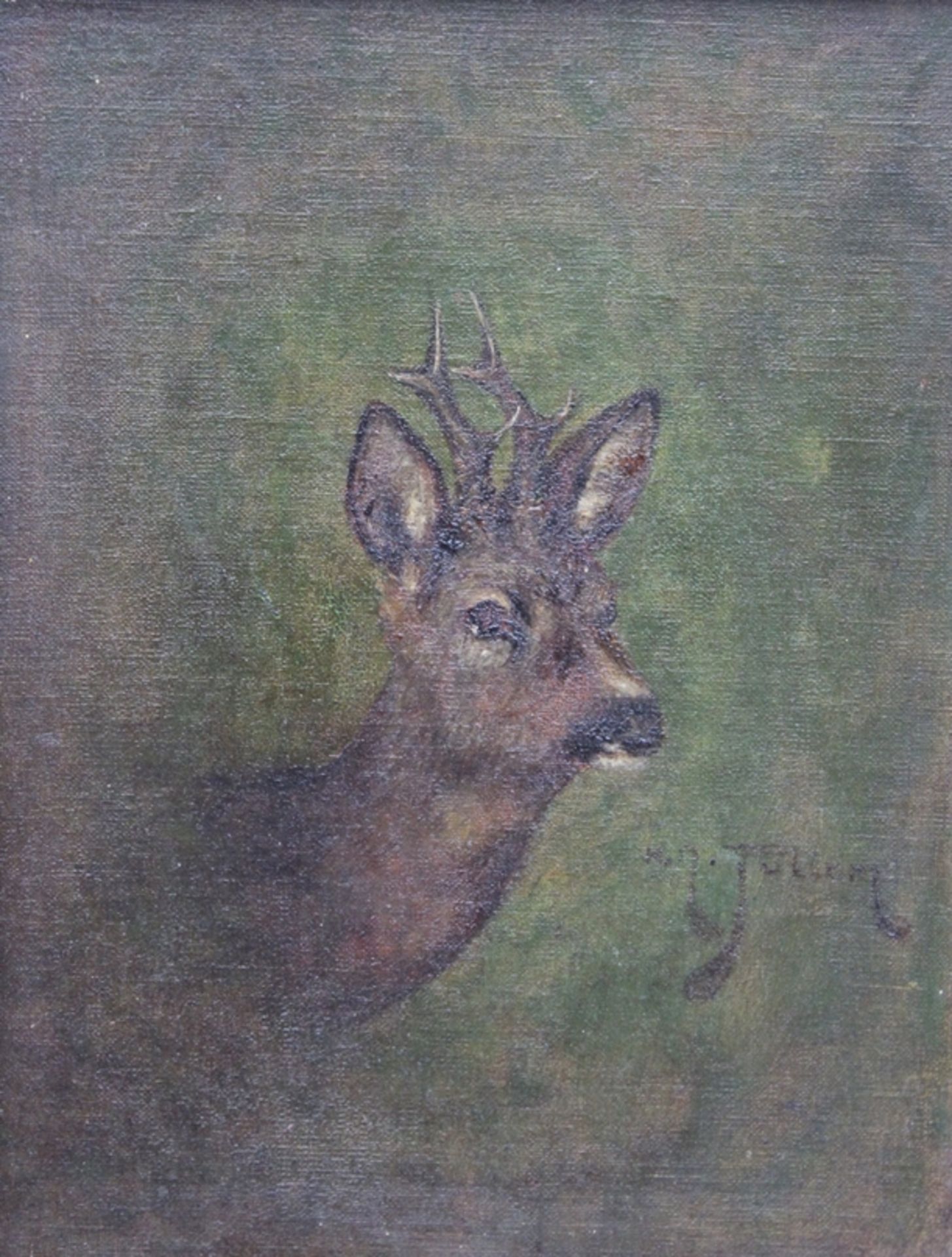 Fullen o.ä., Rehbock, Öl/Leinen doubliert, 19. Jhd., gerahmt, RG 28 x 23cm.