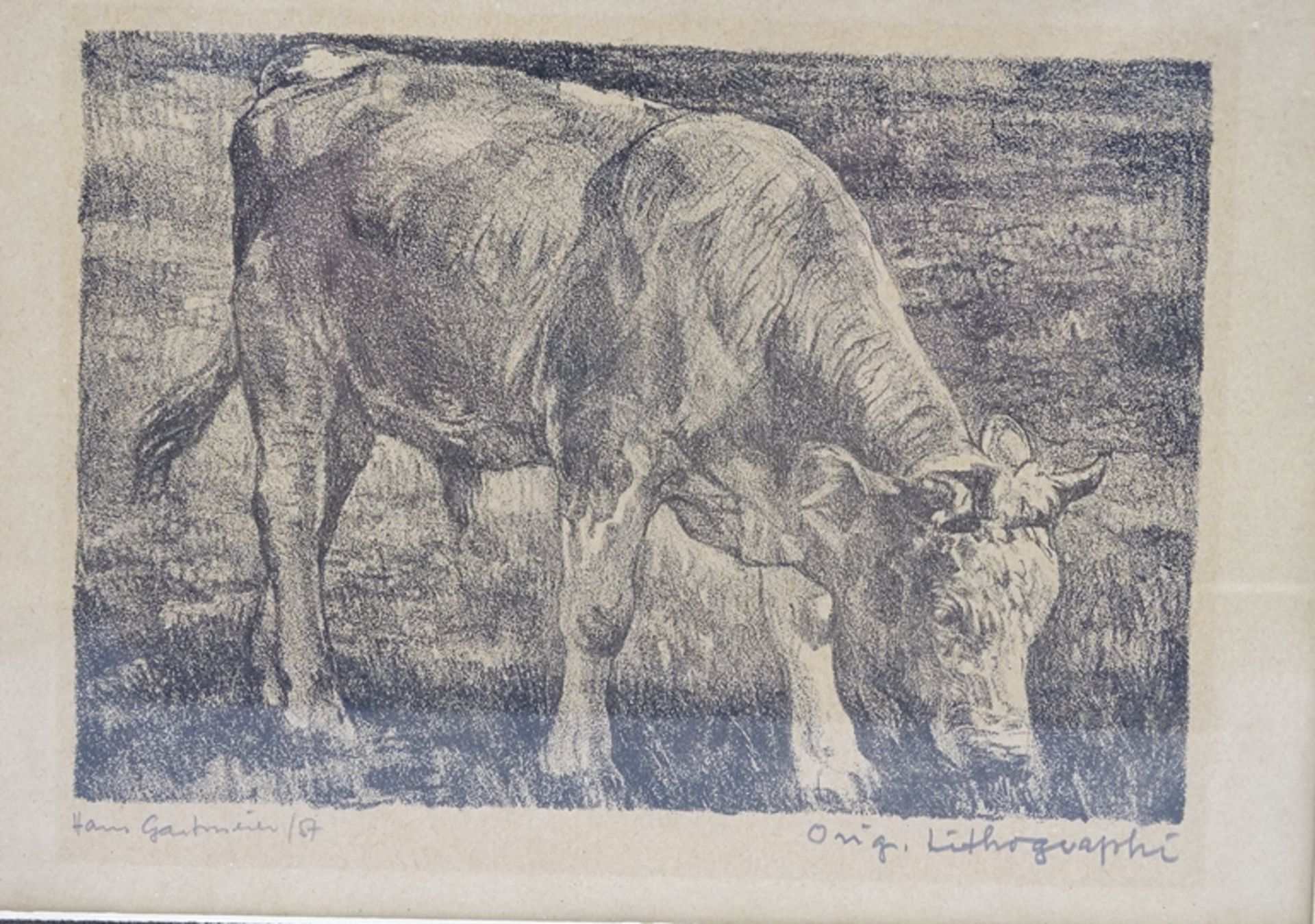Hans GARTMEIER (1910-1986) grasende Kuh" orig. Lithografie, ger/Glas, RG 19x25 cm - Bild 3 aus 6