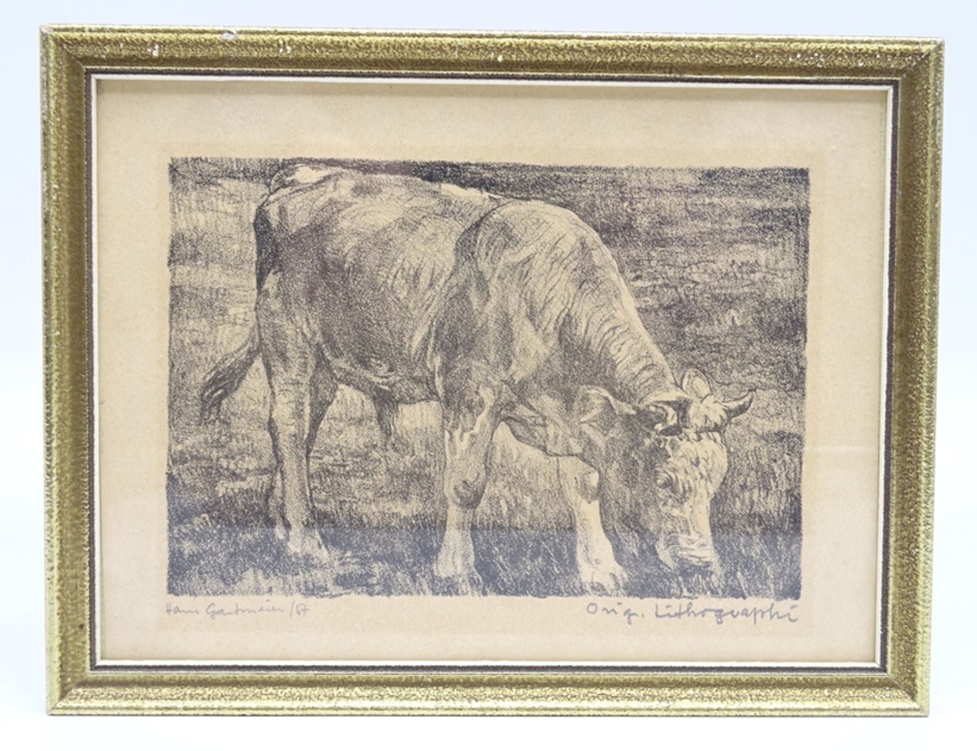 Hans GARTMEIER (1910-1986) grasende Kuh" orig. Lithografie, ger/Glas, RG 19x25 cm - Bild 2 aus 6