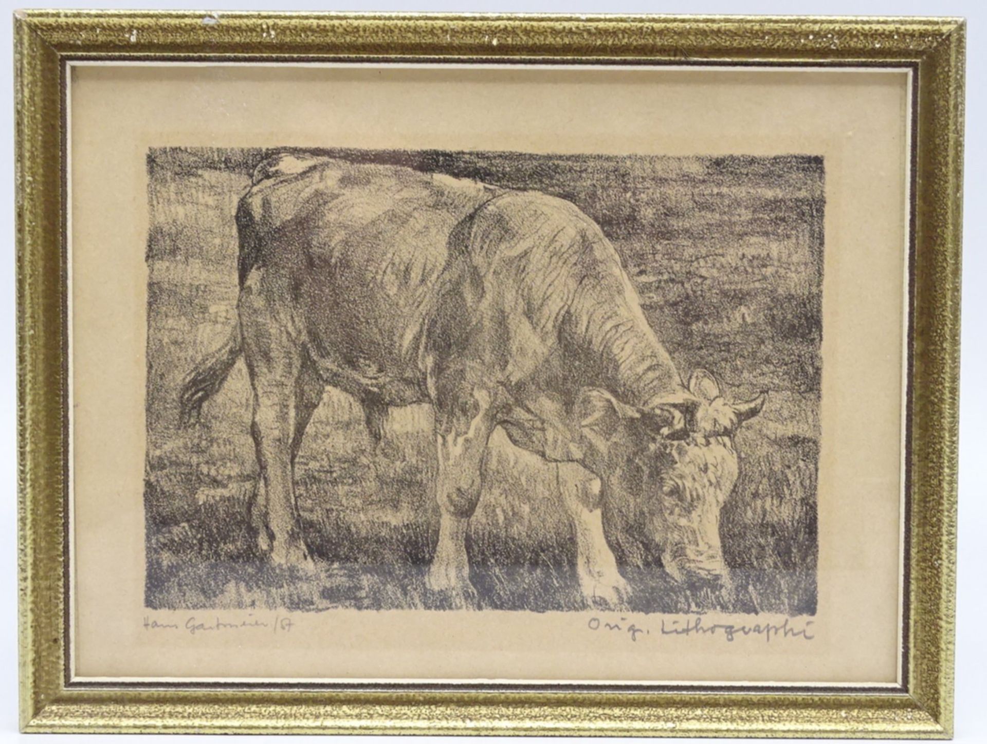 Hans GARTMEIER (1910-1986) grasende Kuh" orig. Lithografie, ger/Glas, RG 19x25 cm