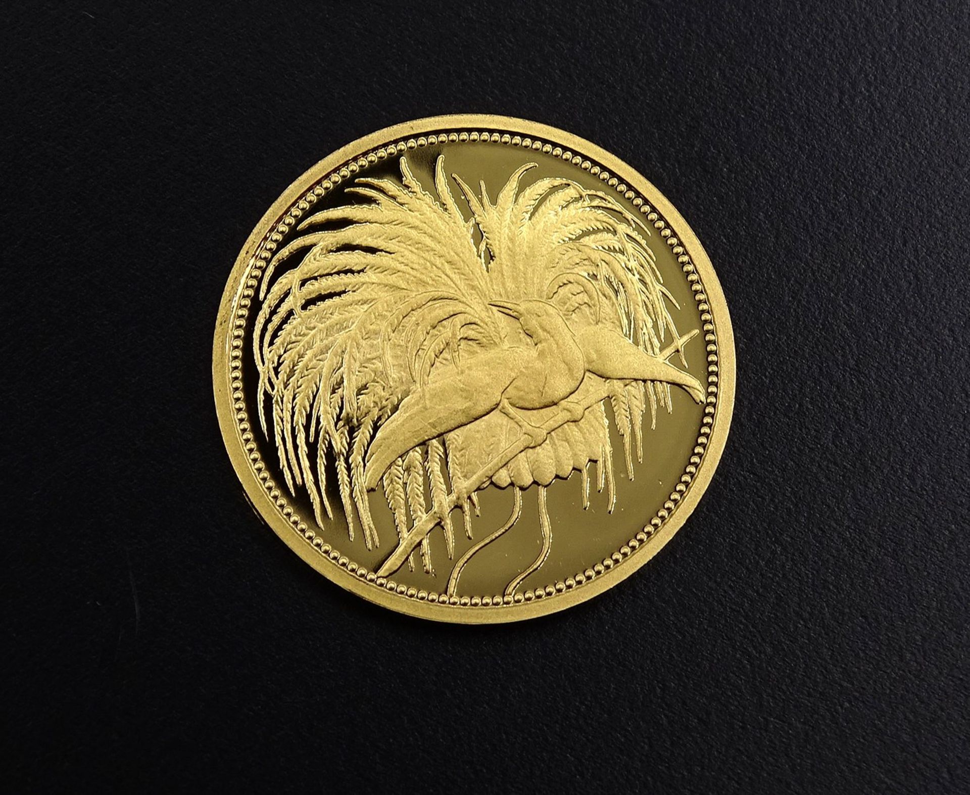 Goldmünze - 20 Mark Neu Guinea 1895 - Nachprägung 2003, Gold 14K , 3,57g. Abriebstellen am Rand - Bild 2 aus 2