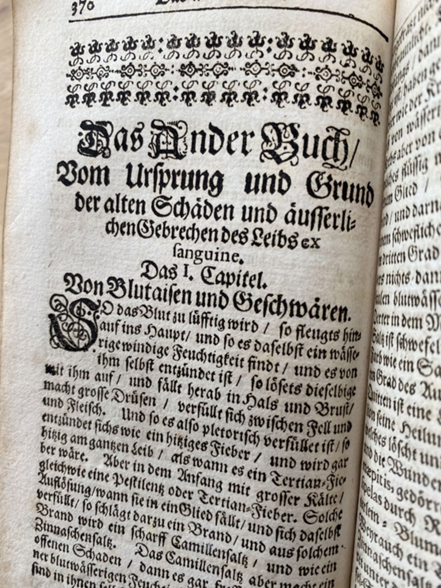 Neu eingerichtete Stadt- und Land Apotheke, Nürnberg 1701, mit Diaet-Büchlein etc, Buchrücken fehl - Bild 6 aus 9