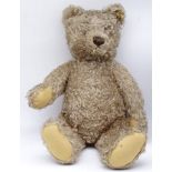 Großer "Steiff" Teddy, Knopf und Fahne, L. 62cm