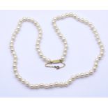 Perlen Halskette mit Goldverschluss um 18K, L. 59,5cm, Perlen D. 6,0 - 6,1mm