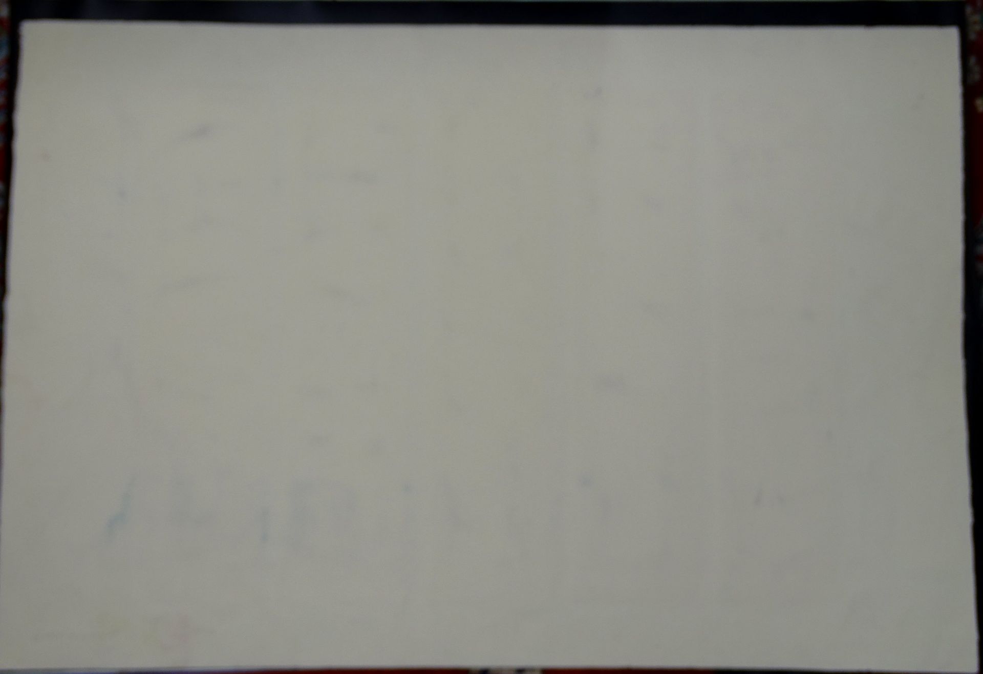 gr. Prägedruck auf dicken Papier??bezeichnet Greenwood ?? 76x115 cm - Image 11 of 12