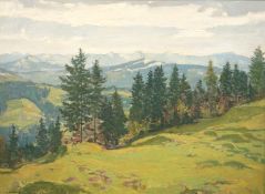 Meyer-Saalfeld, Walter: Panoramablick ins Gebirge
