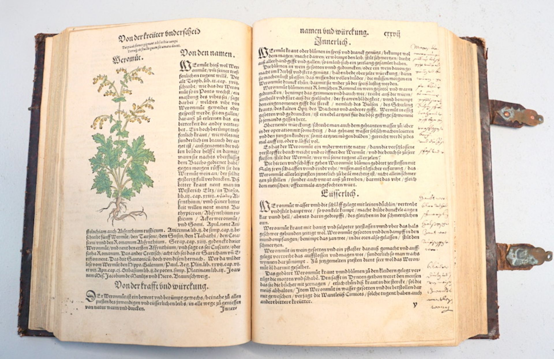 Bock, Hieronymus: "New Kreütter Buch', Strassburg 1546 - Image 2 of 3