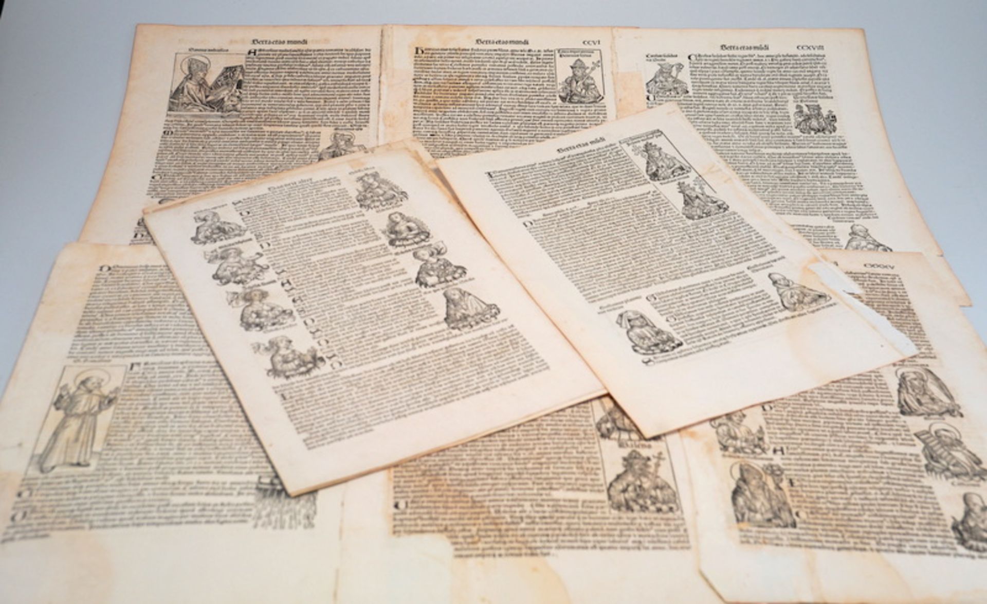 Sammlung von 12 Blatt Schedelsche Weltchronik von 1493 - Image 2 of 2