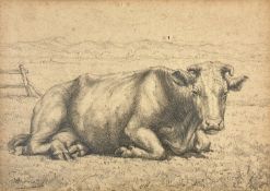 Willem NOORDIJK (1887-1970) Study Of A Cow