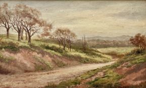 Albert Edmund GYNGELL (1866-1949) Country Path