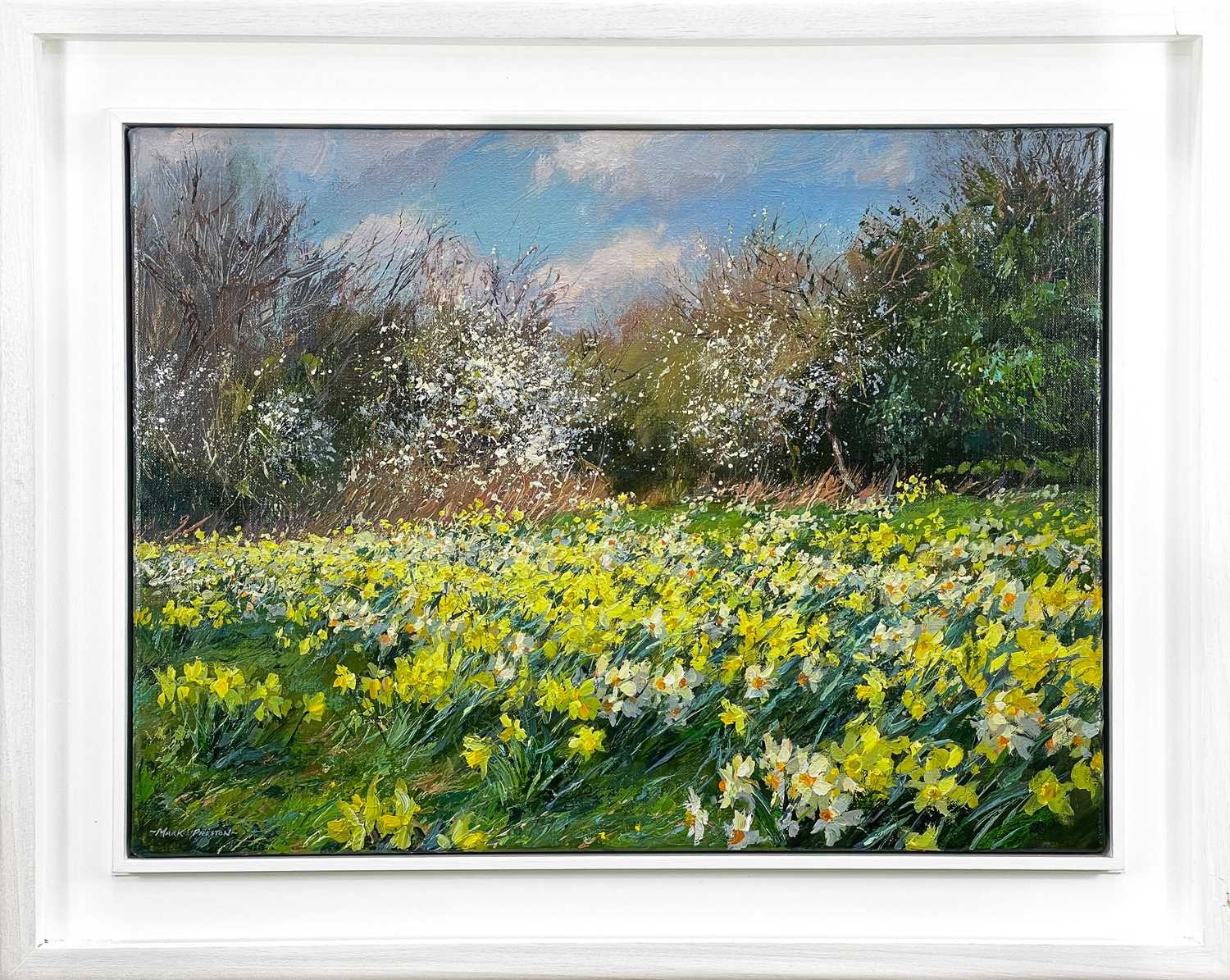 Mark PRESTON (1976) Daffodils & Narcissi - Image 2 of 3