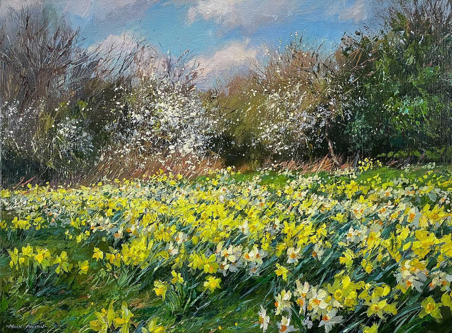 Mark PRESTON (1976) Daffodils & Narcissi