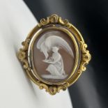 Oval cameo shell mourning brooch