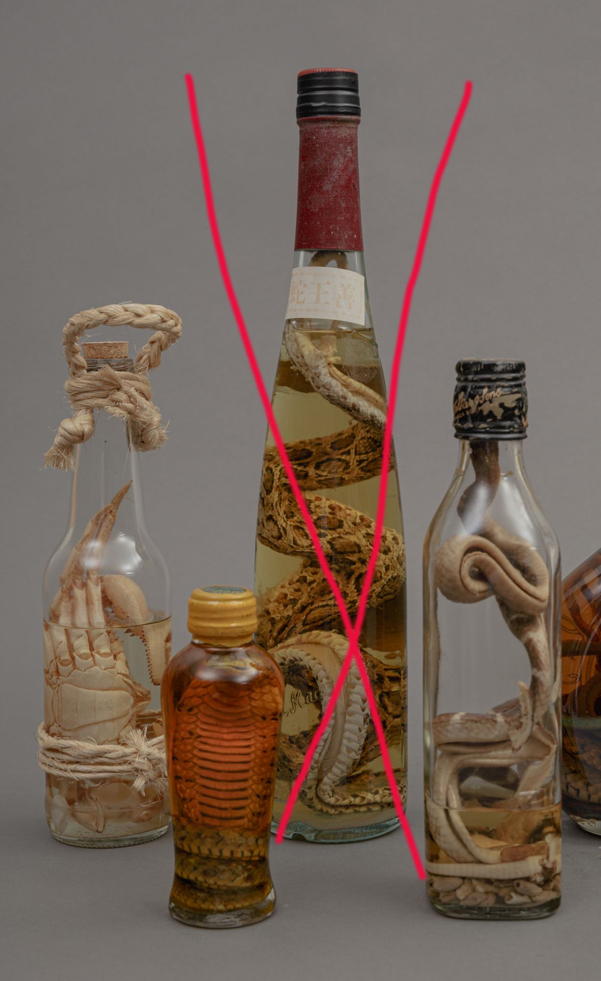 Kuriosität aus Ostasien, 6 Flaschen Schlangenwein - Image 2 of 2