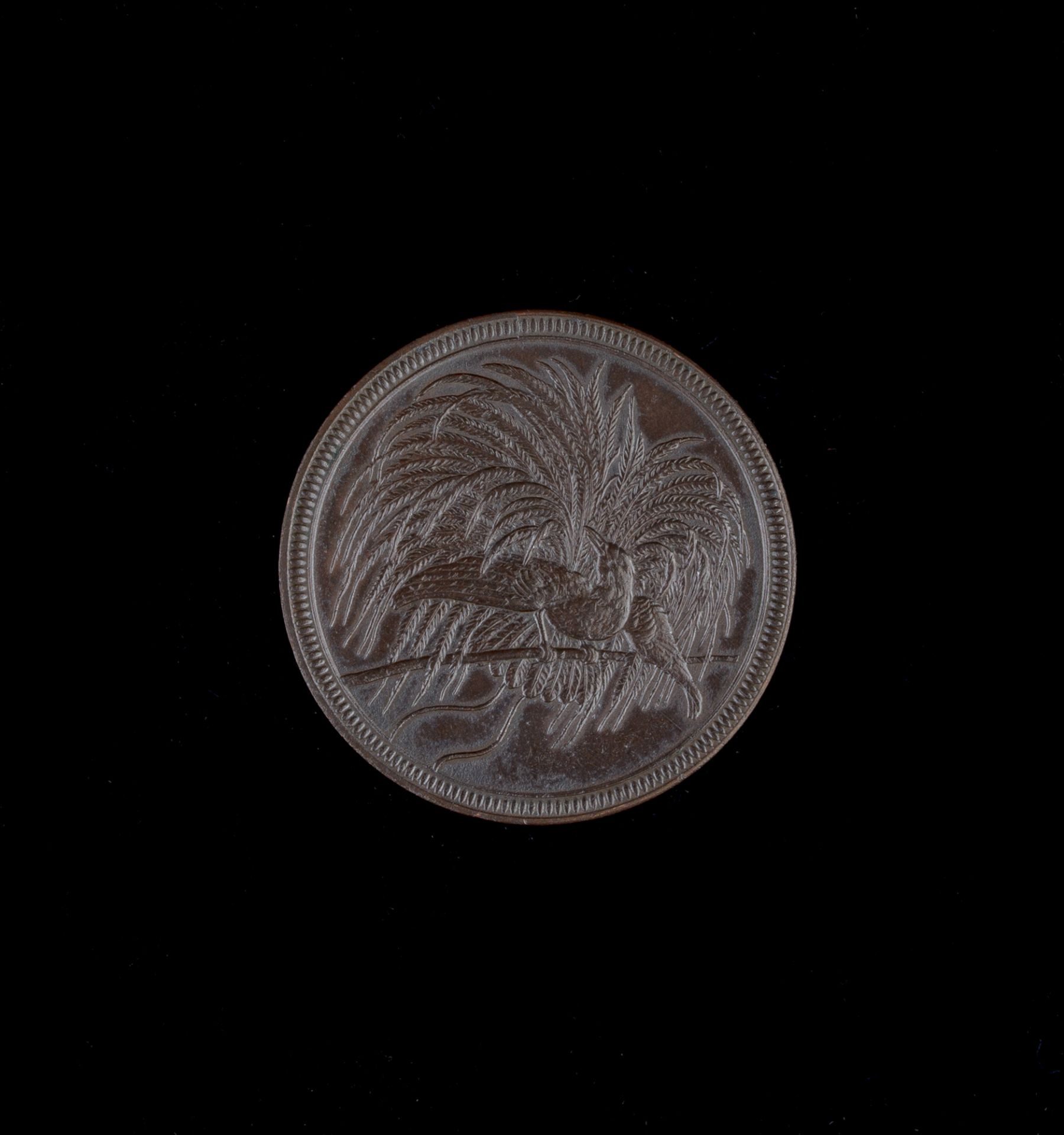 10 Neu-Guinea-Pfennig, 1894 A, Deutsch-Neu-Guinea