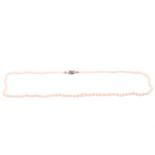 A cultured pearl necklace, 74 cm long, fastened with a white metal clasp set with small ruby