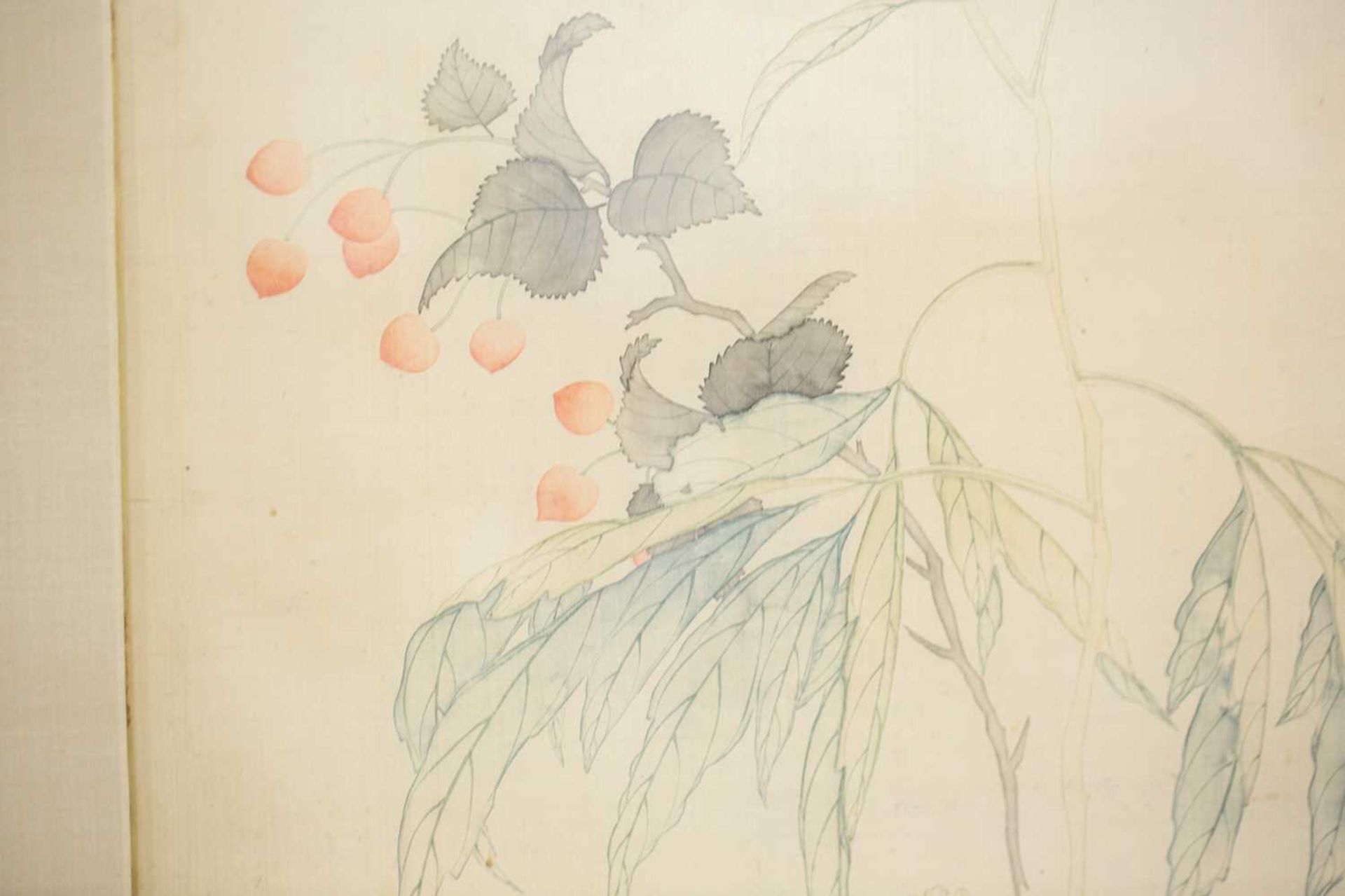 Fang Xun (Chinese, 1736 - 1799) Iris, wallflower, michaelia and peony, signed, watercolour on - Bild 6 aus 15