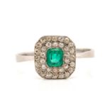 An emerald and diamond cluster ring in platinum, centred with an emerald-cut emerald of bright green