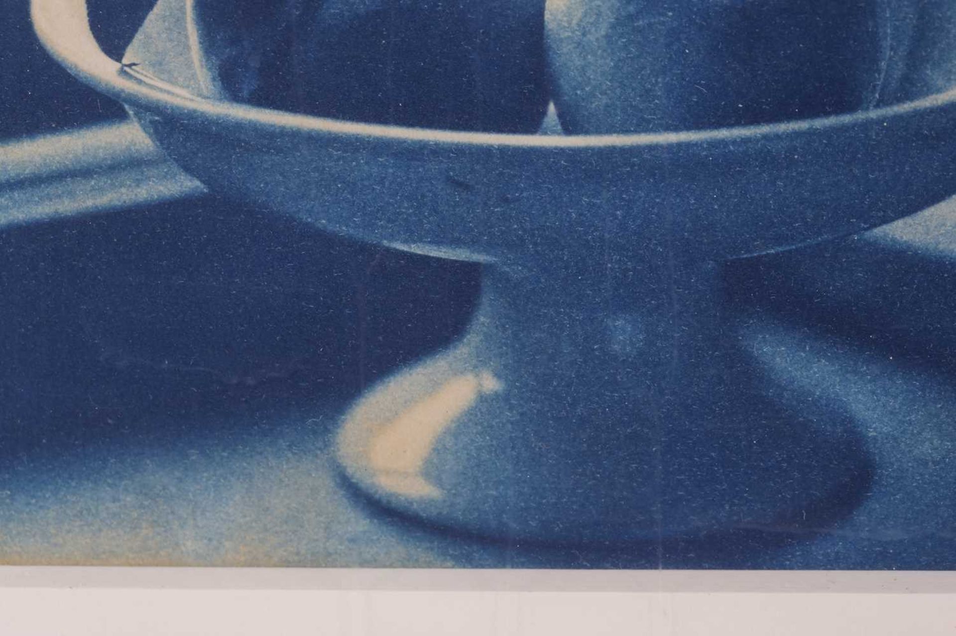 John Dugdale (b.1960) American, 'Four Peaches, Stone Ridge, NY, 1996', cyanotype, signed, dated - Image 4 of 9