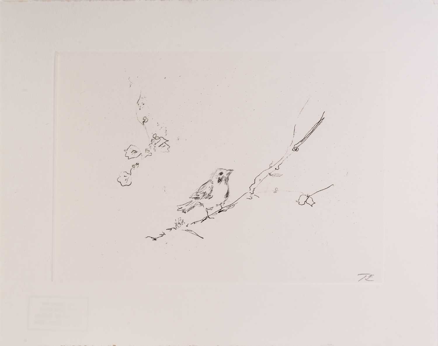 Tracey Emin (b. 1963), Sam and Jay's birds, initialled in pencil, stamped verso 'Joy Jopling and Sam - Image 5 of 8