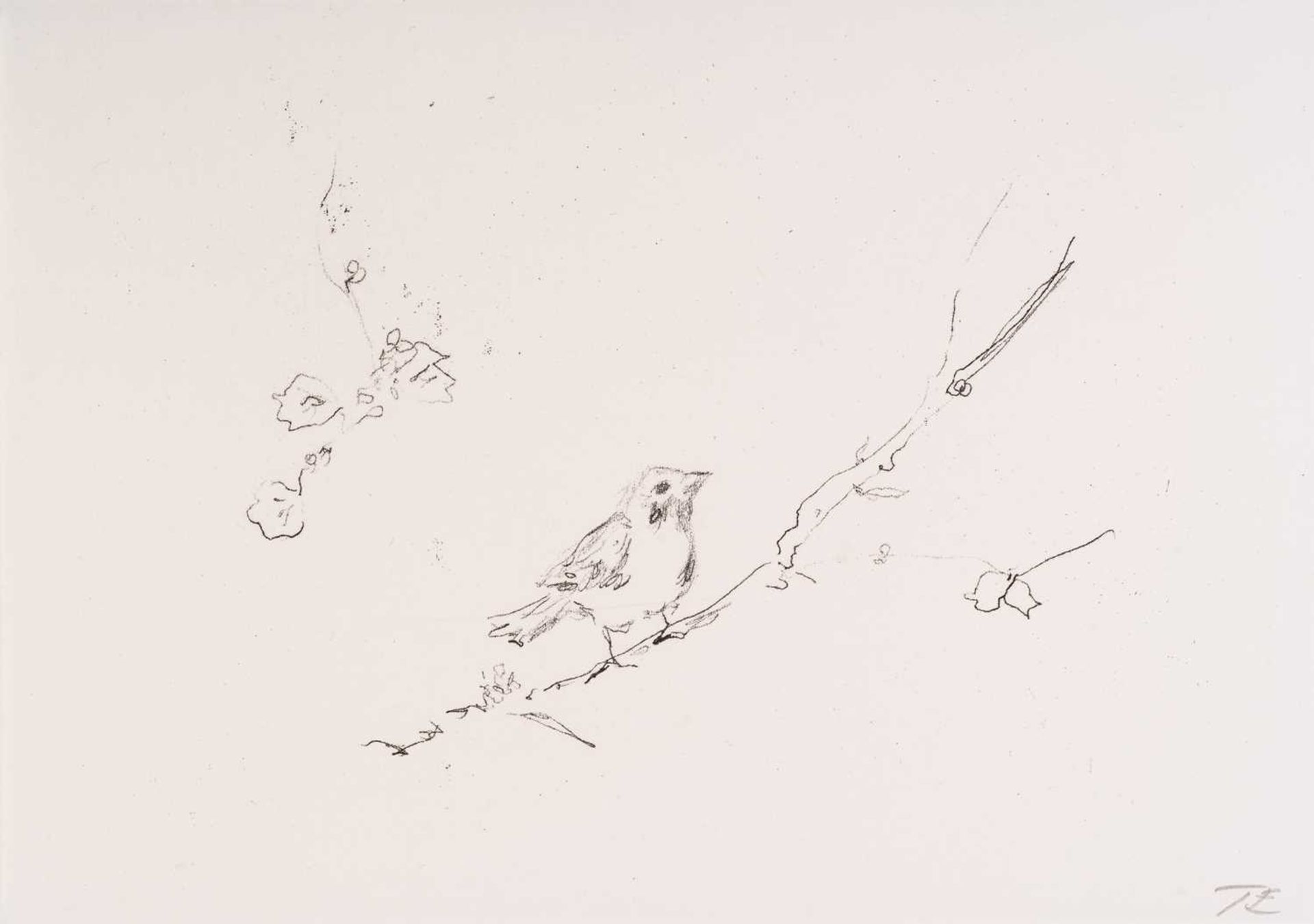 Tracey Emin (b. 1963), Sam and Jay's birds, initialled in pencil, stamped verso 'Joy Jopling and Sam
