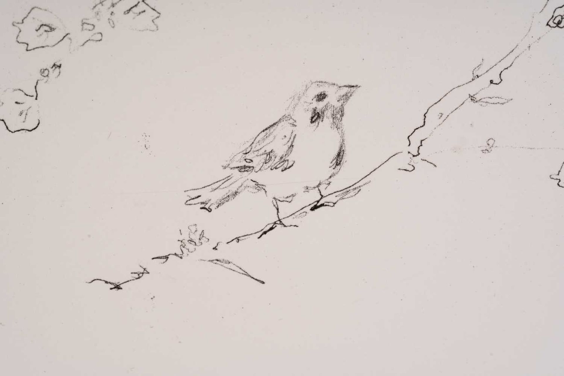 Tracey Emin (b. 1963), Sam and Jay's birds, initialled in pencil, stamped verso 'Joy Jopling and Sam - Image 4 of 8