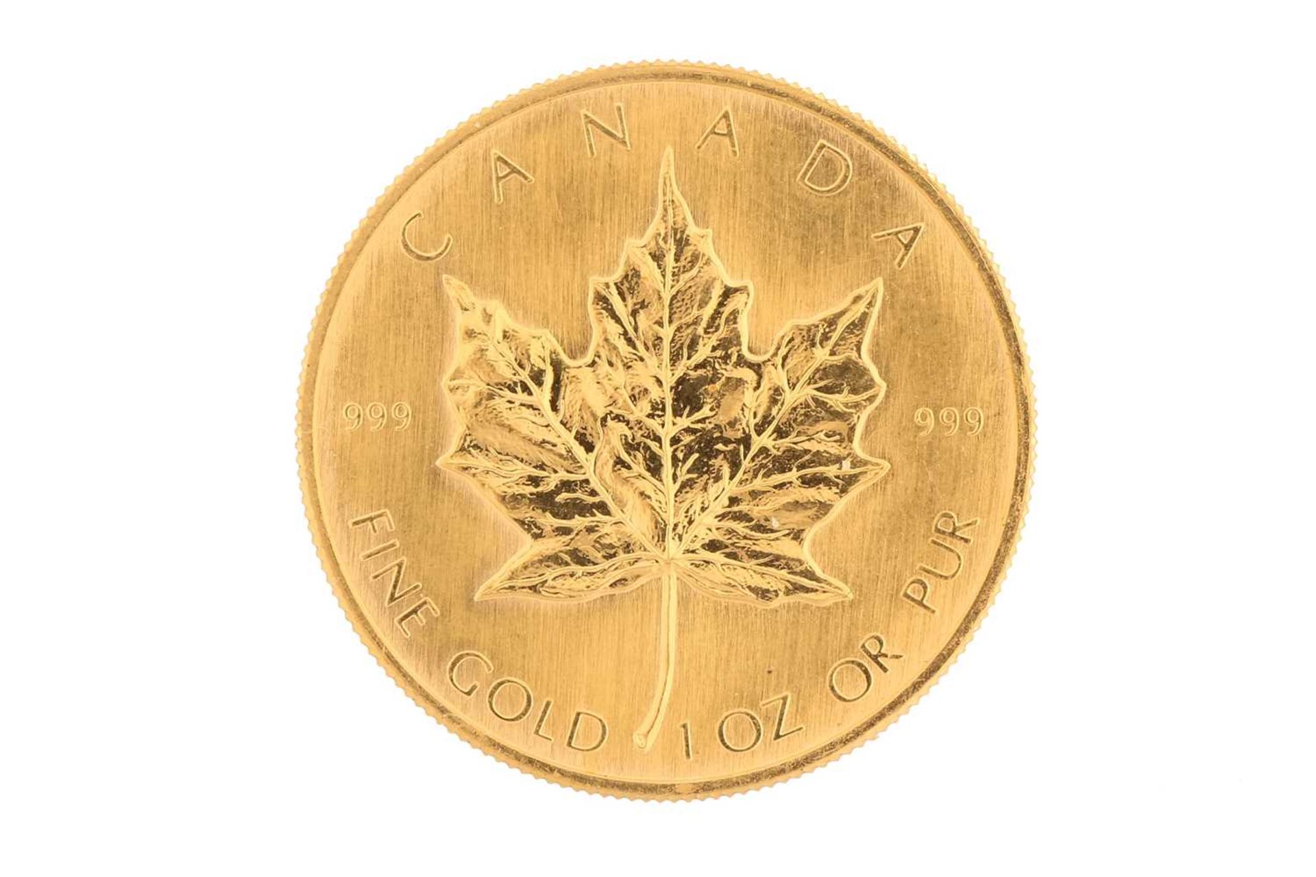 Canada - Elizabeth II, gold Maple leaf 50 dollars, 1981, 1oz fine gold - Image 3 of 3