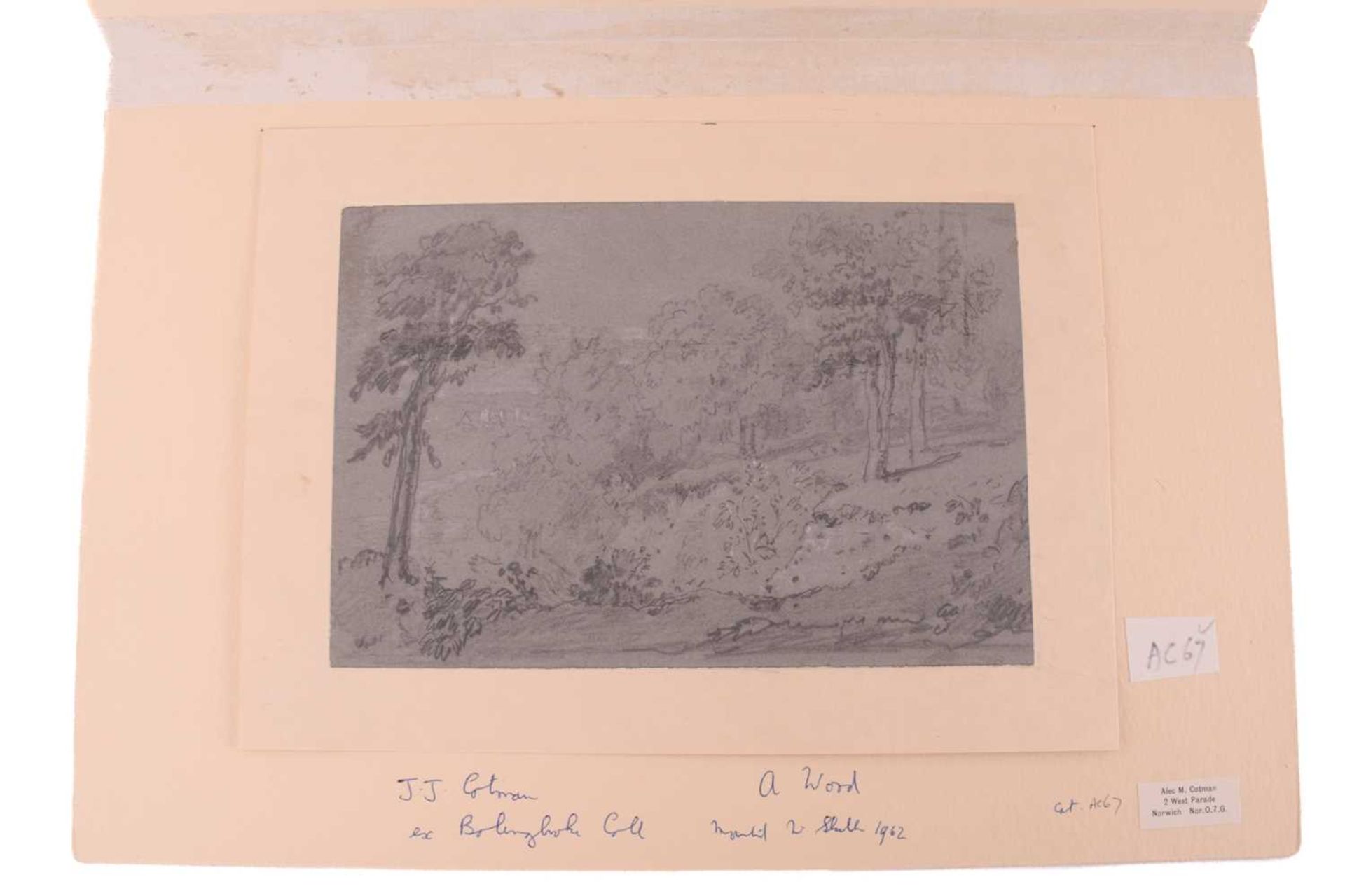 John Joseph Cotman (1814 - 1878), three pencil & charcoal sketches, 'Whitlingham' & 'A Wood', both - Image 10 of 12