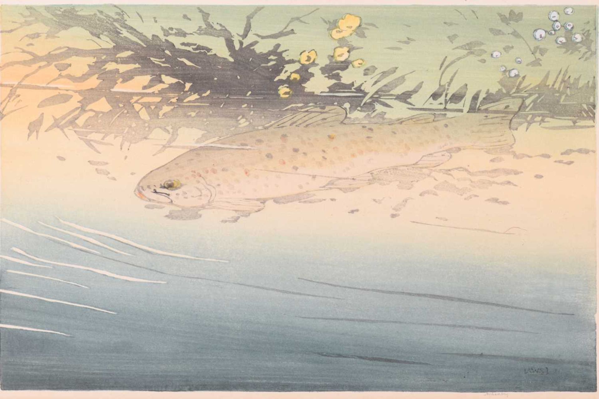 Allen William Seaby (1867 - 1953), Trout, signed in pencil, coloured woodblock print, image 21.5 x - Image 8 of 8