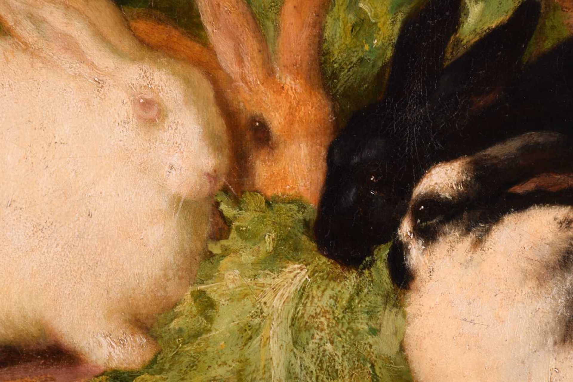 Thomas William Earl (fl.1836-1885), Family of Rabbits, signed, oil on canvas, 49 x 50.5 cm, - Image 8 of 9