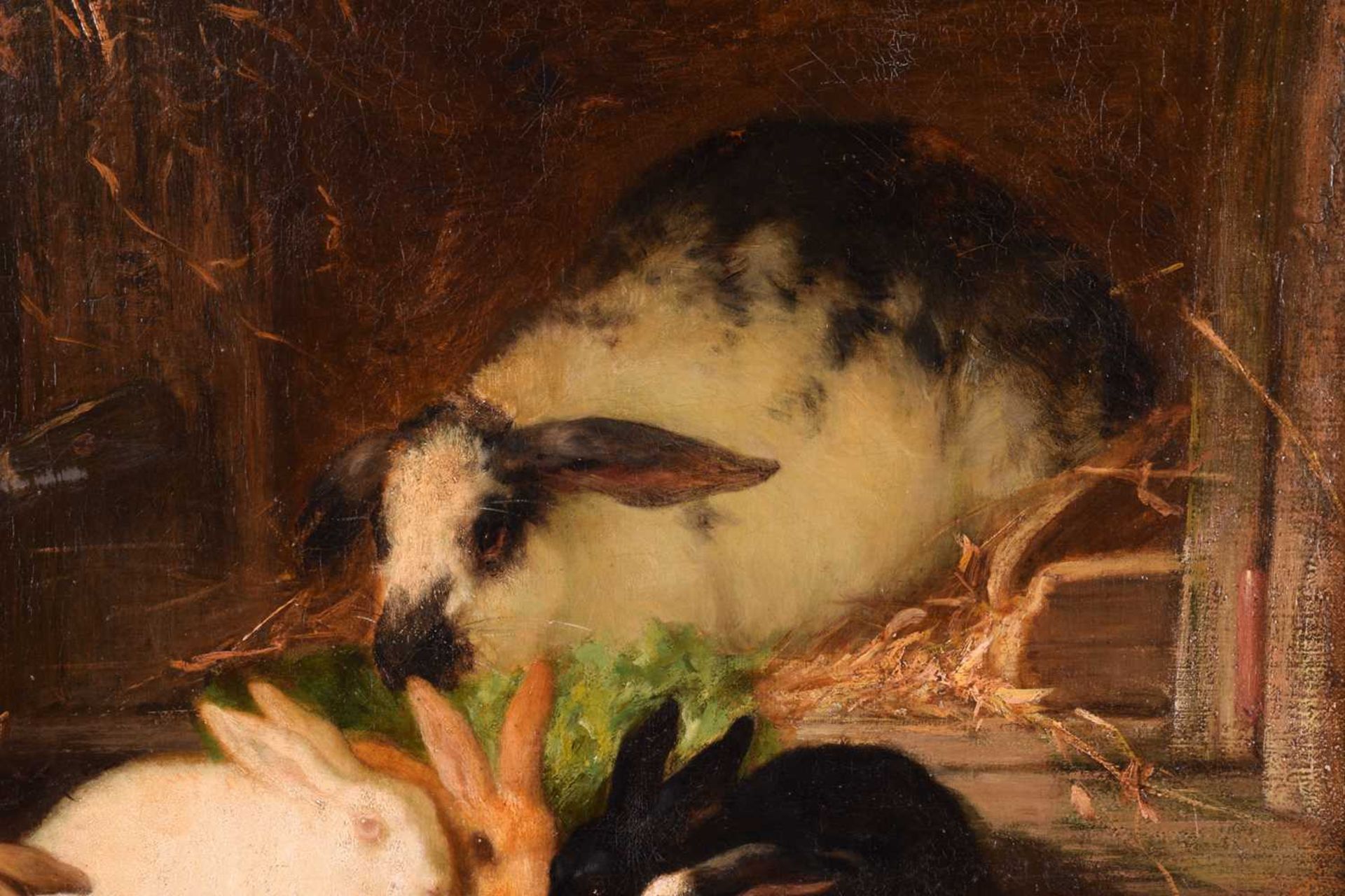 Thomas William Earl (fl.1836-1885), Family of Rabbits, signed, oil on canvas, 49 x 50.5 cm, - Image 6 of 9