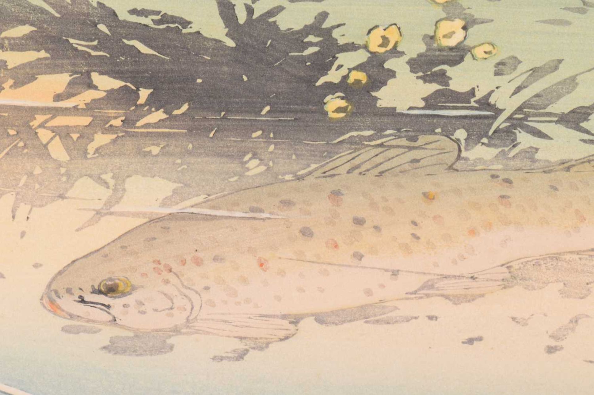 Allen William Seaby (1867 - 1953), Trout, signed in pencil, coloured woodblock print, image 21.5 x - Image 6 of 8