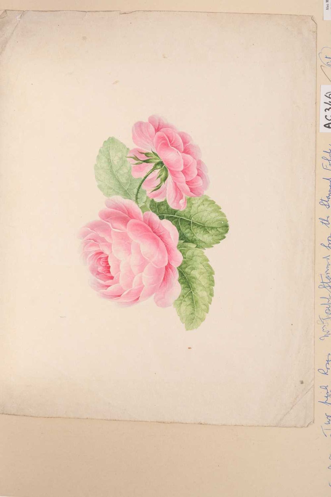 Emily Stannard (1827-1894) [daughter of Joseph Stannard and Emily Coppin Stannard], a folio case - Image 16 of 28