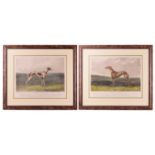 After Edwin Henry Hunt, a pair of greyhound engravings, depicting Wild Mint and Princess Dagmar,