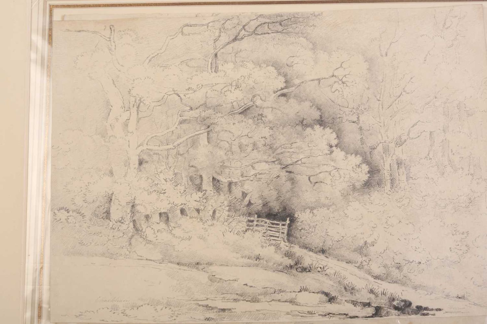 A folio of pencil works on paper by the Gurney family, some pupils of John Crome (1768-1821), - Image 6 of 20