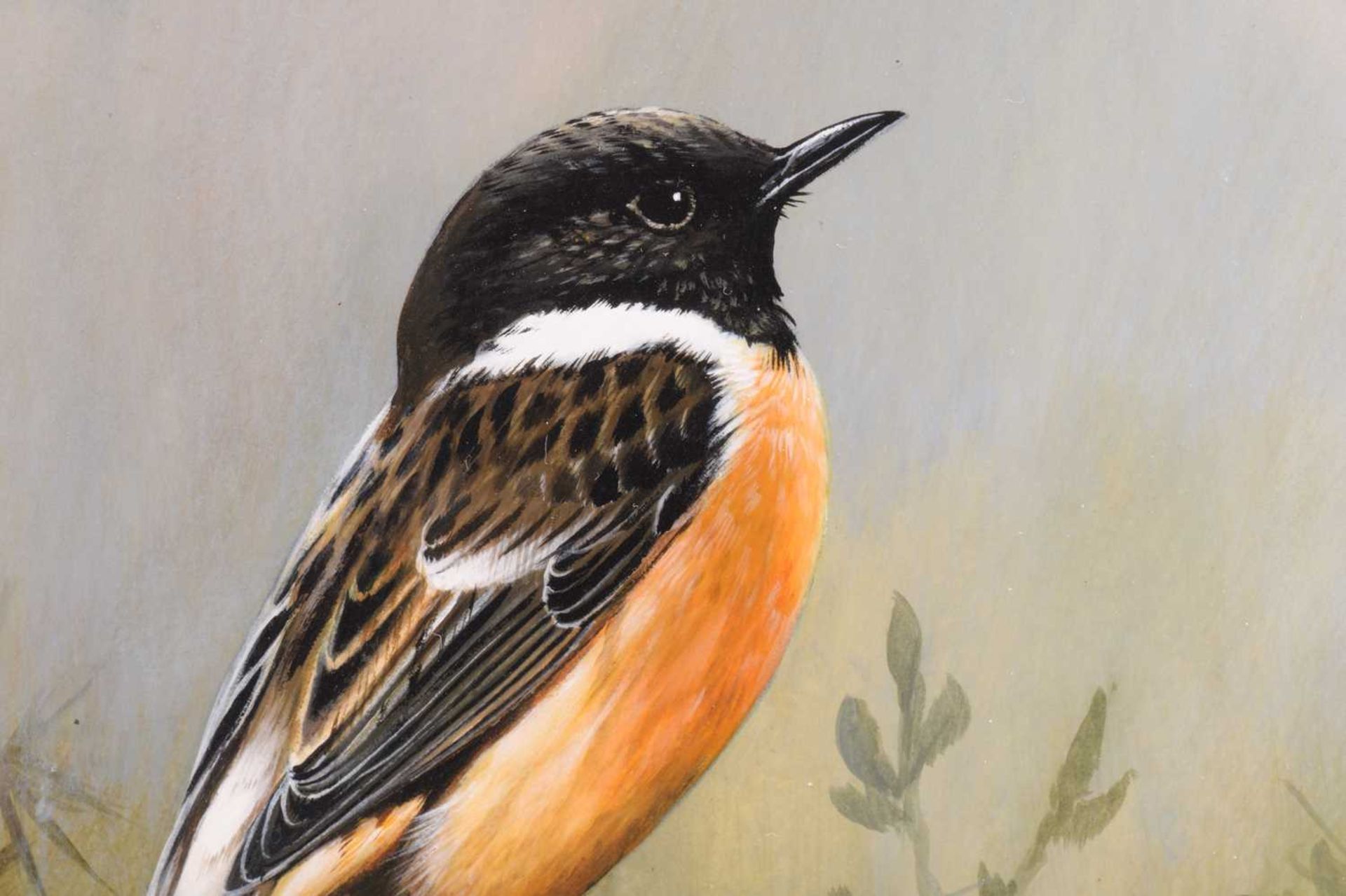 Terance James Bond (b.1946) British, 'European Stonechat', the bird perched on a stump before yellow - Image 4 of 7