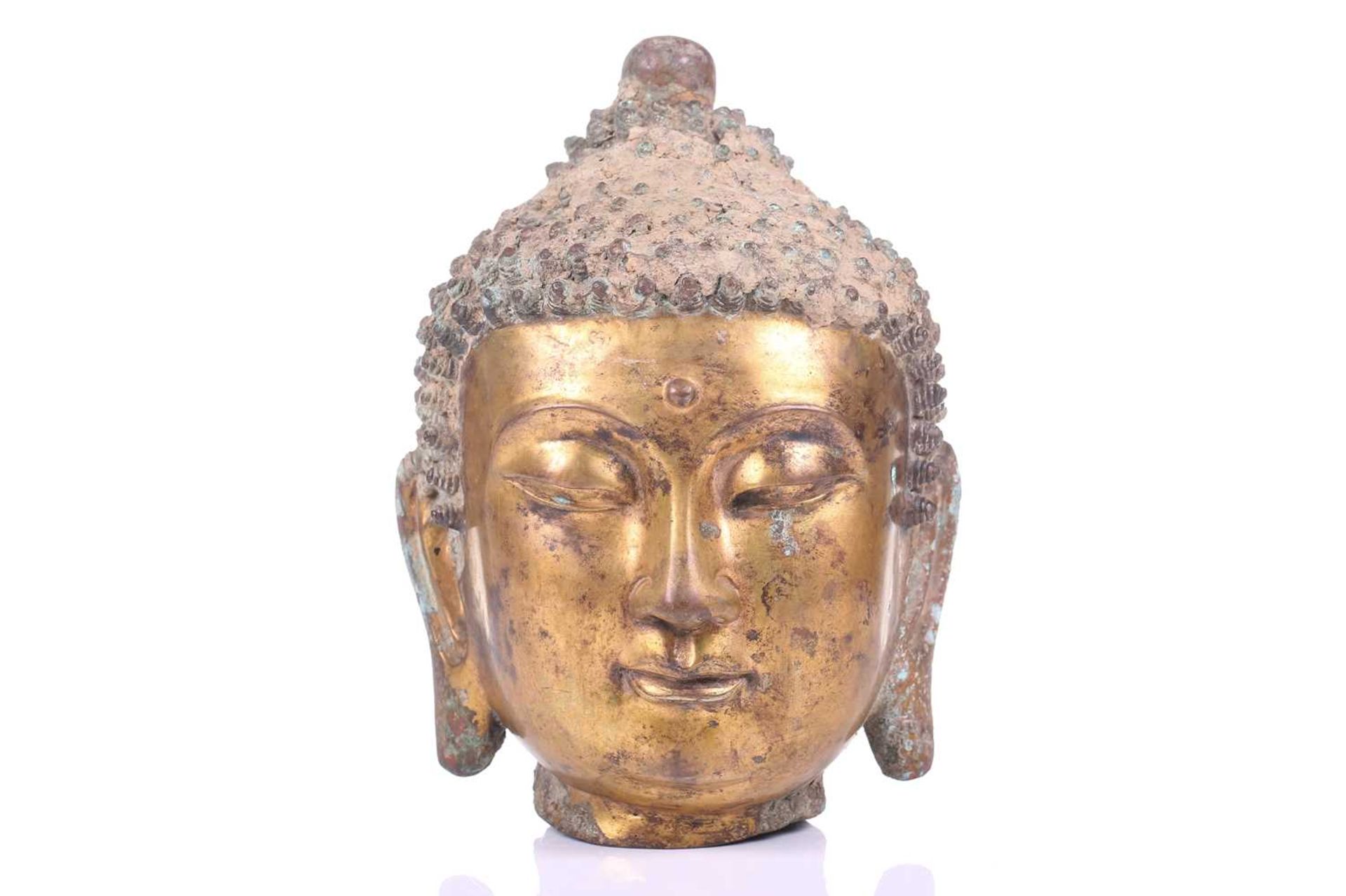 A Sino-Tibetan gilt bronze head of a Buddha, with elongated earlobes, tightly curled hair with domed