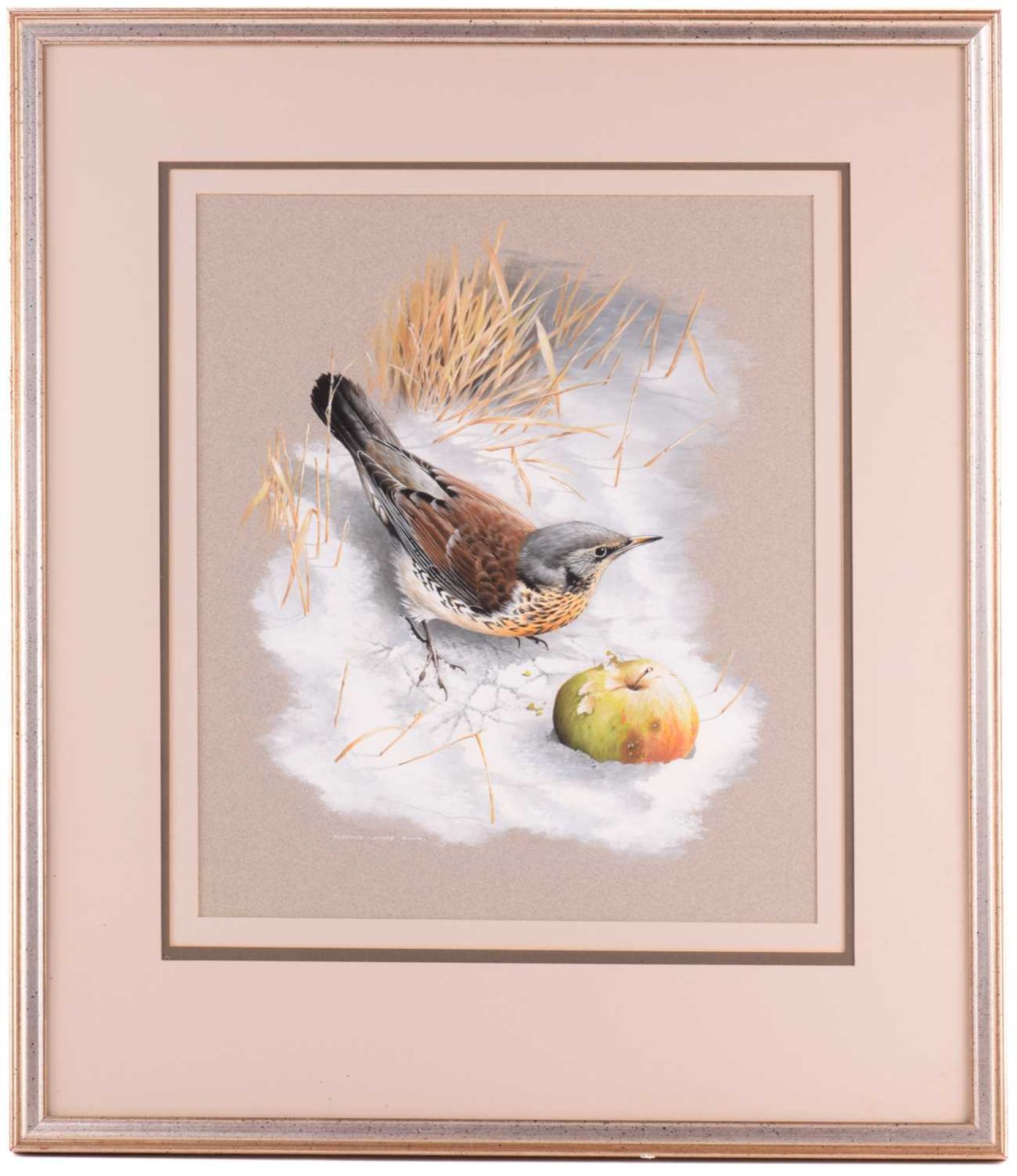 Terance James Bond (b.1946) British, 'Fieldfare - with Apple', study of the bird in snow, acrylic on - Image 2 of 8