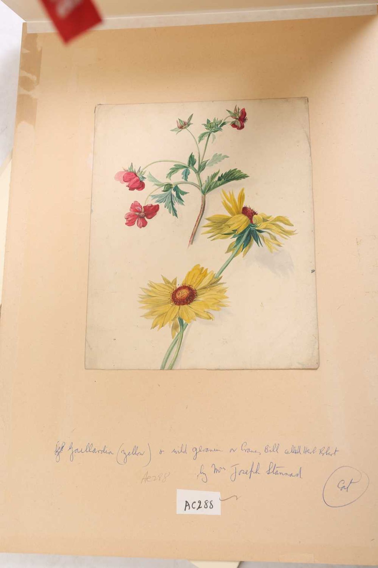 Emily Stannard (1803-1885), [known as 'Mrs Joseph Stannard'], a folio case containing seventeen - Image 19 of 21