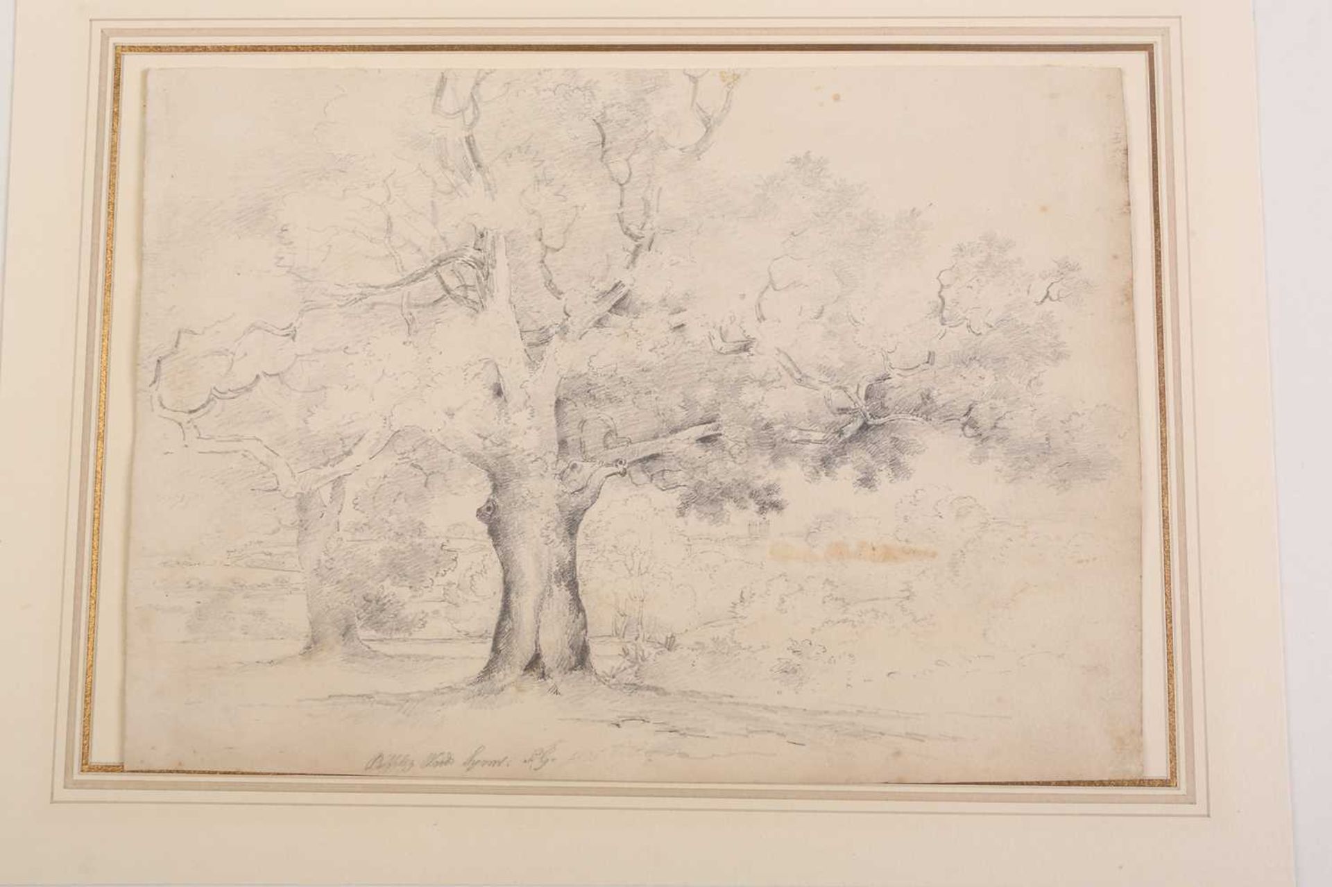 A folio of pencil works on paper by the Gurney family, some pupils of John Crome (1768-1821), - Image 7 of 20