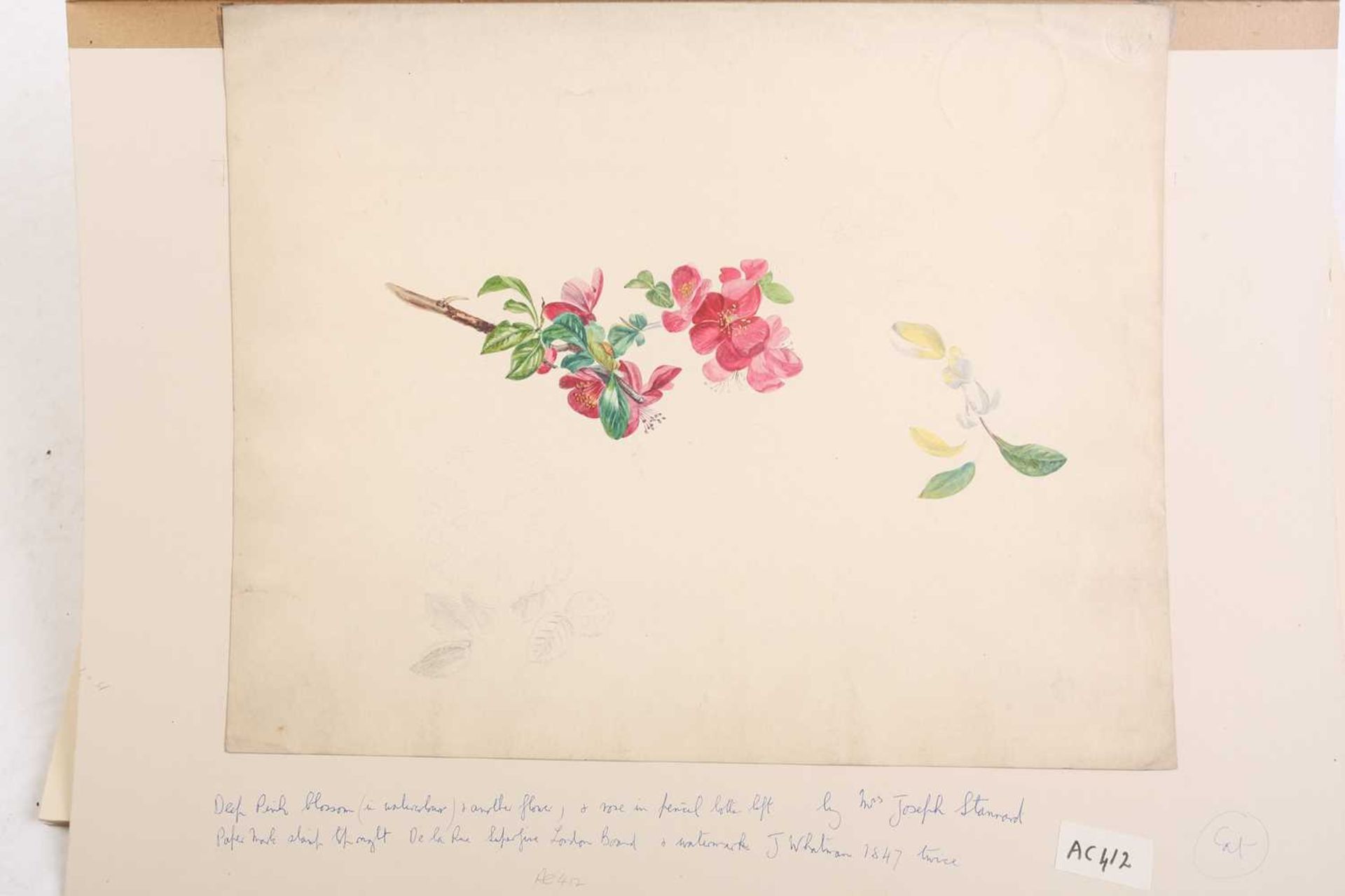 Emily Stannard (1803-1885), [known as 'Mrs Joseph Stannard'], a folio case containing seventeen - Image 15 of 21