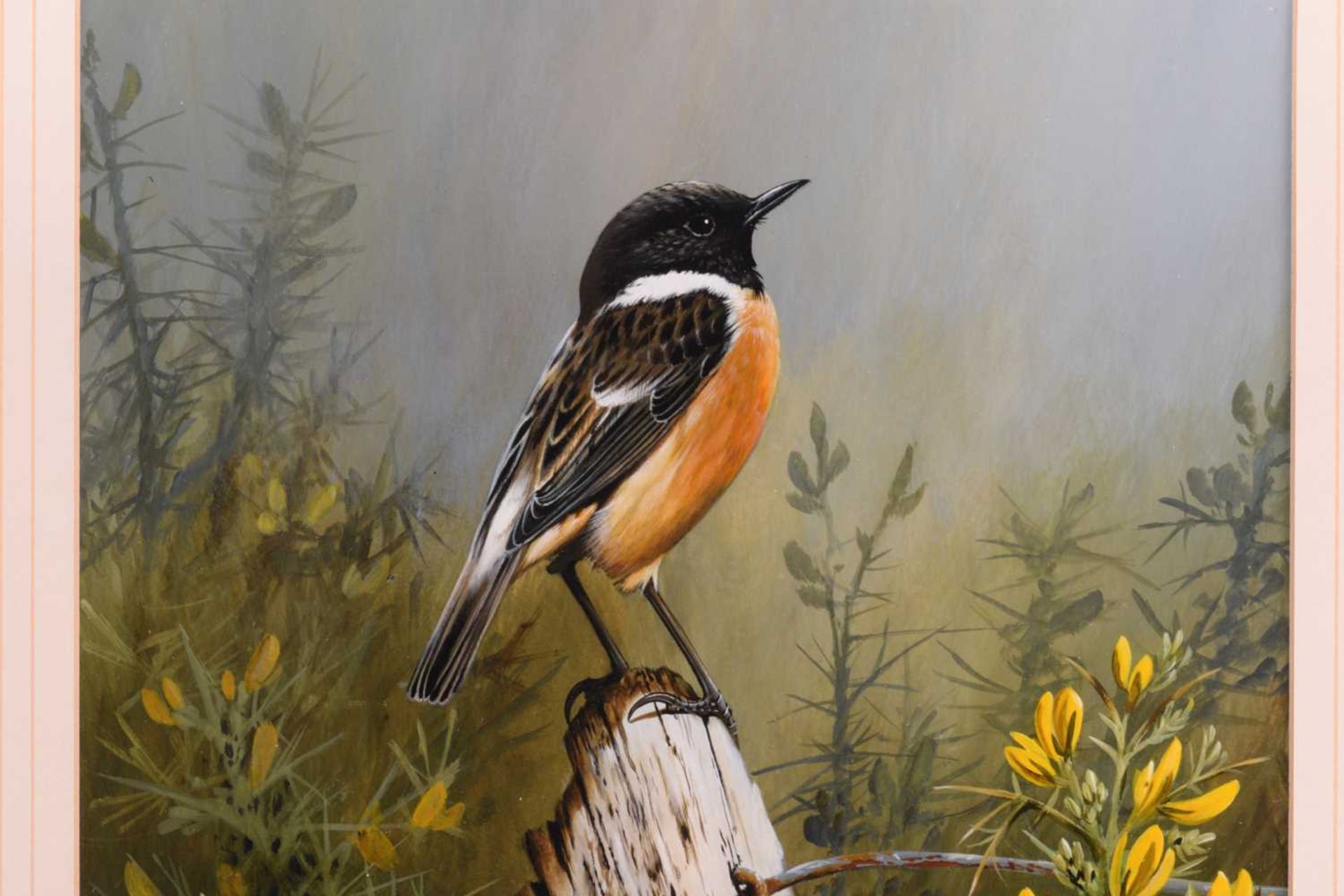 Terance James Bond (b.1946) British, 'European Stonechat', the bird perched on a stump before yellow - Image 3 of 7