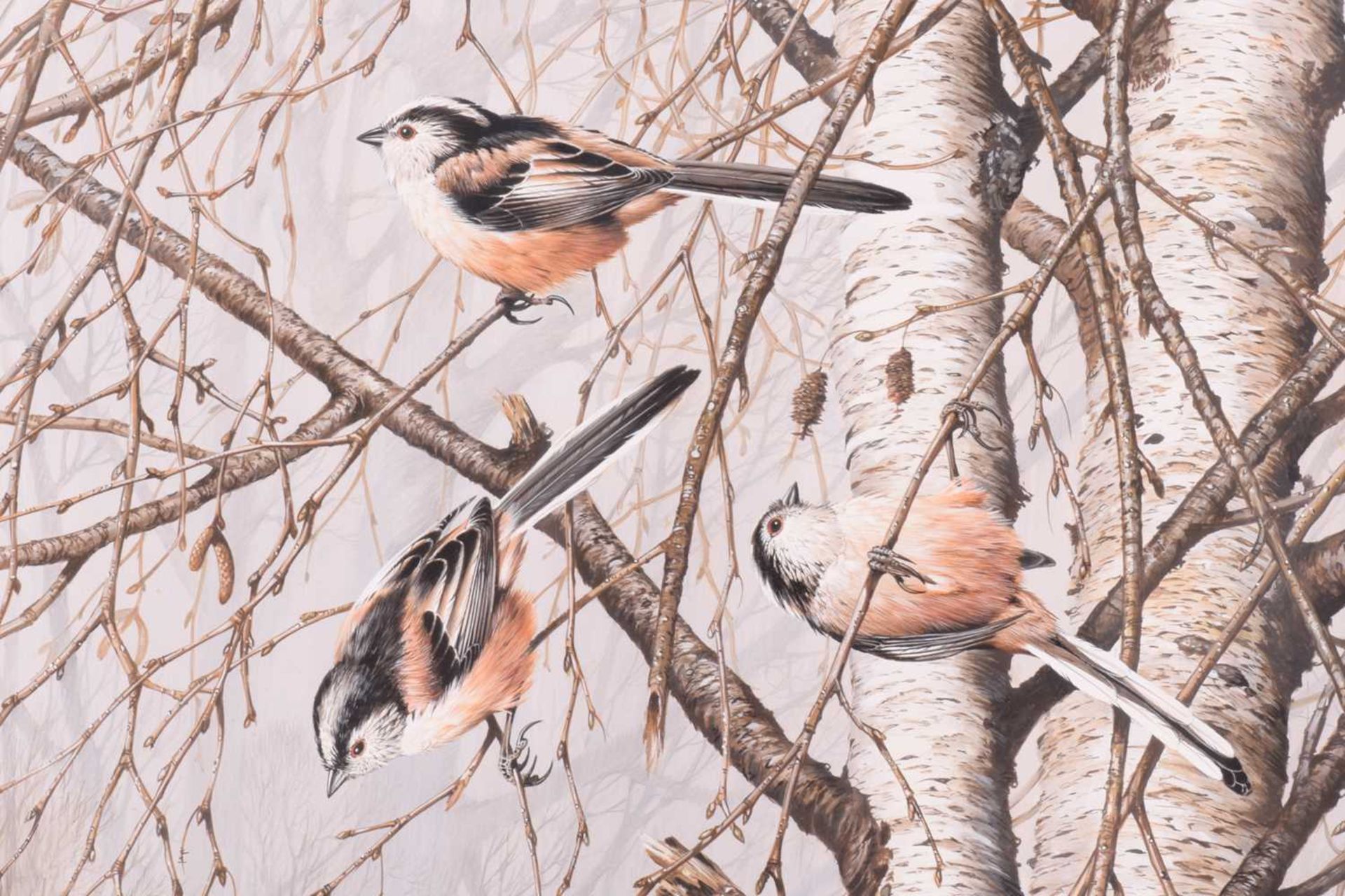 Terance James Bond (b.1946) British, 'Long Tailed Titmice', a group of four birds in a tree, - Image 3 of 9