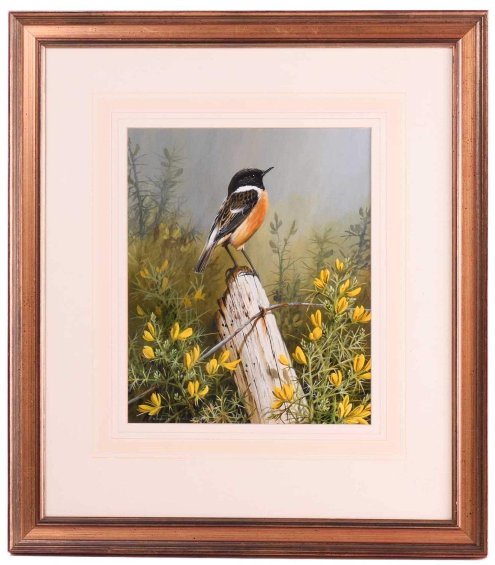 Terance James Bond (b.1946) British, 'European Stonechat', the bird perched on a stump before yellow - Image 2 of 7