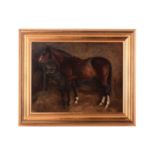 Late 19th century British School, A chestnut Welsh cob in a stable, unsigned, oil on canvas, 35 x