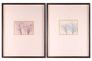 Sylvia Plimack Mangold (b.1938) American, Nut Trees (Blue) and (Red) - a pair, signed and numbered