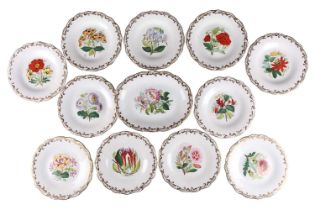 A probably Davenports of Longport "Botanical" bone China part dessert service for ten settings,