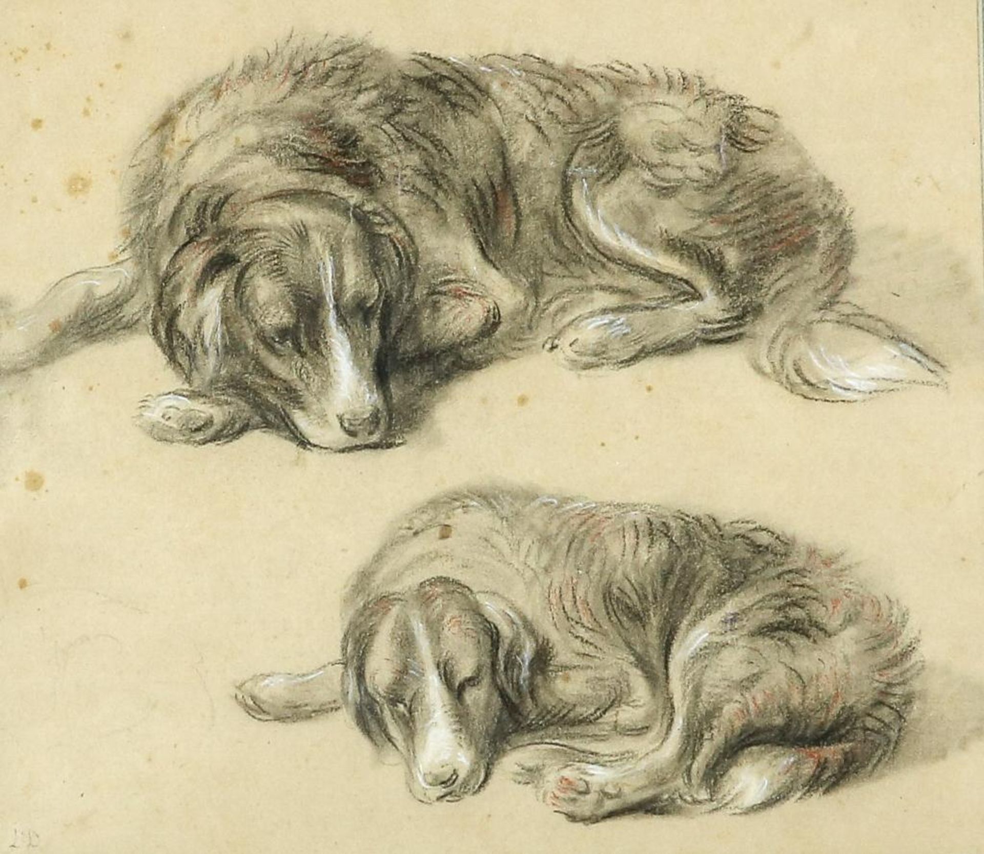 Dasvelt, Jan H. slapende honden