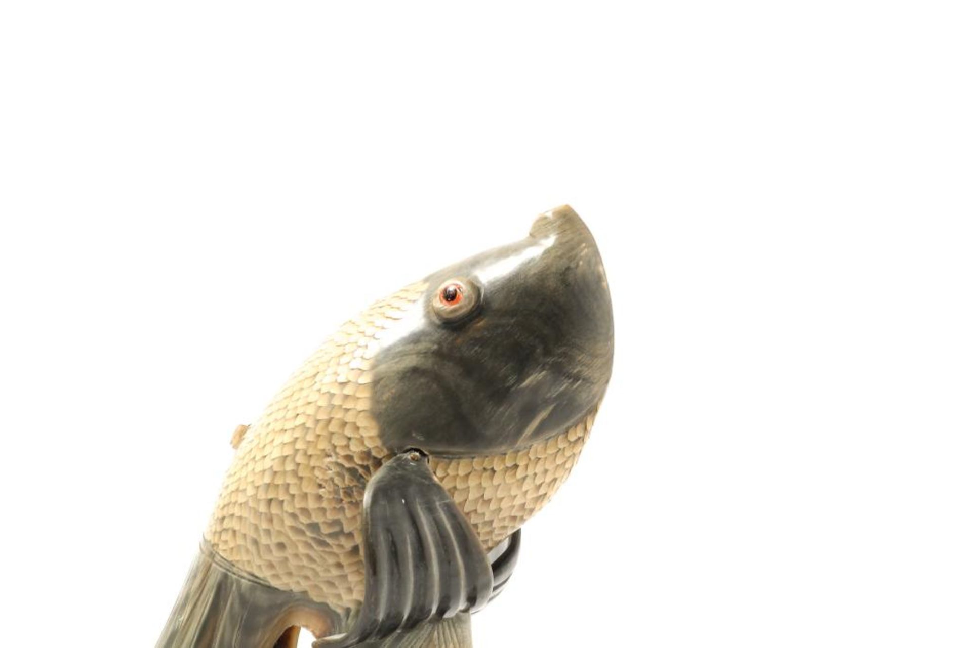 Vliegende vis van hoorn - Bild 6 aus 6
